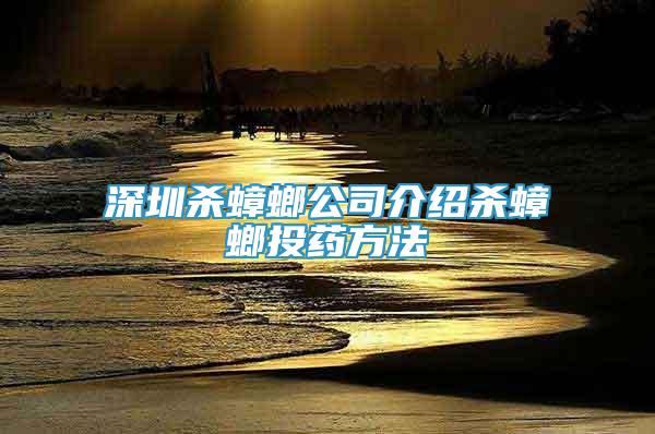 深圳殺蟑螂公司介紹殺蟑螂投藥方法