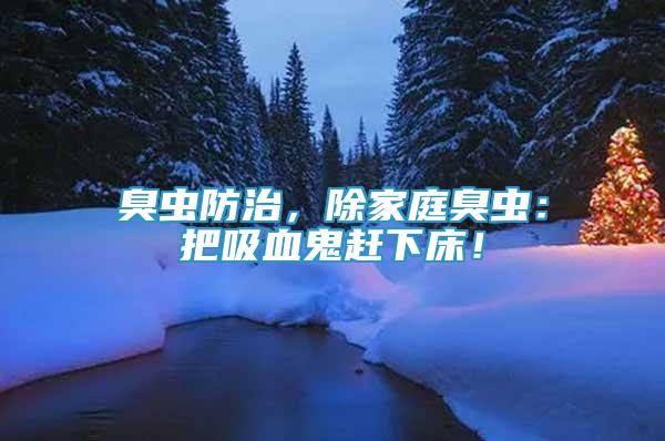 臭蟲防治，除家庭臭蟲：把吸血鬼趕下床！