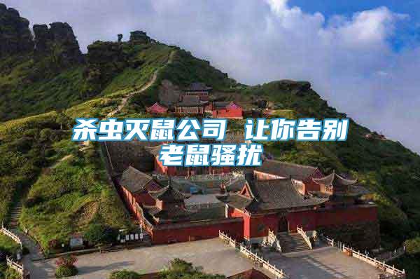 殺蟲滅鼠公司 讓你告別老鼠騷擾