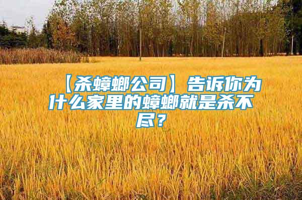【殺蟑螂公司】告訴你為什么家里的蟑螂就是殺不盡？