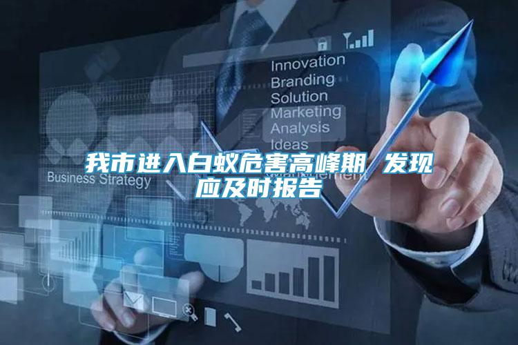 我市進(jìn)入白蟻危害高峰期 發(fā)現(xiàn)應(yīng)及時(shí)報(bào)告