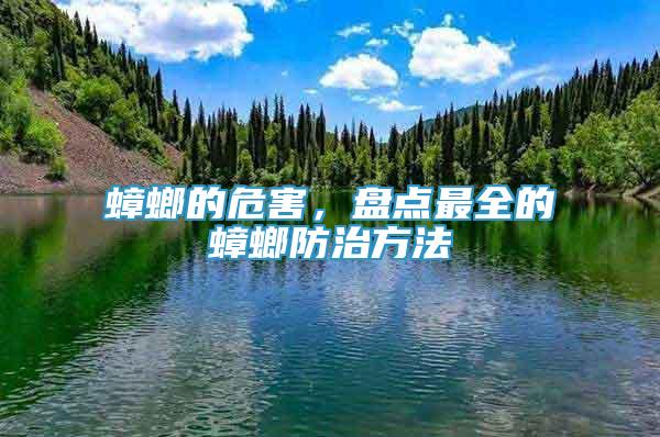 蟑螂的危害，盤點(diǎn)最全的蟑螂防治方法