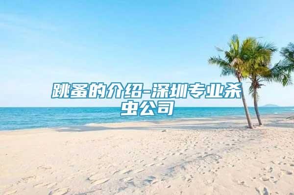 跳蚤的介紹-深圳專業(yè)殺蟲公司
