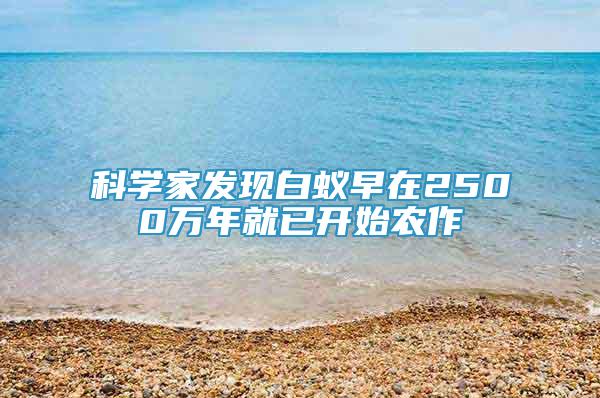 科學(xué)家發(fā)現(xiàn)白蟻早在2500萬(wàn)年就已開(kāi)始農(nóng)作