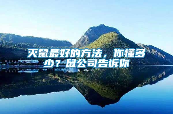 滅鼠最好的方法，你懂多少？鼠公司告訴你