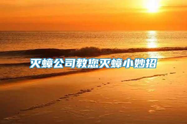 滅蟑公司教您滅蟑小妙招