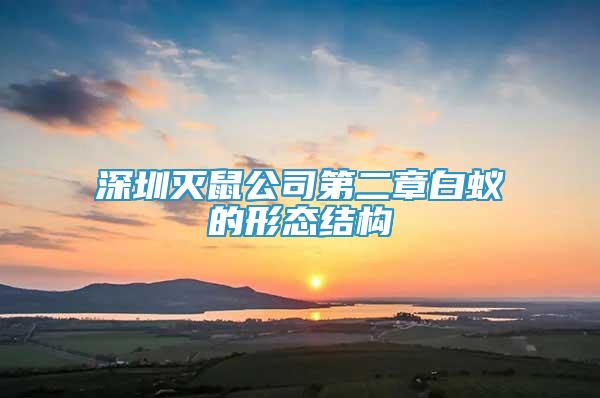 深圳滅鼠公司第二章白蟻的形態(tài)結(jié)構(gòu)