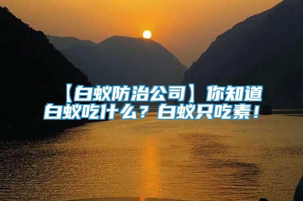 【白蟻防治公司】你知道白蟻吃什么？白蟻只吃素！