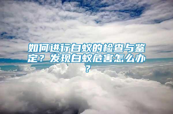 如何進行白蟻的檢查與鑒定？發(fā)現(xiàn)白蟻危害怎么辦？
