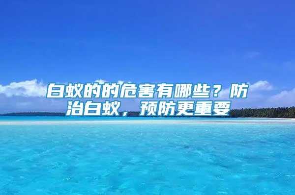白蟻的的危害有哪些？防治白蟻，預(yù)防更重要