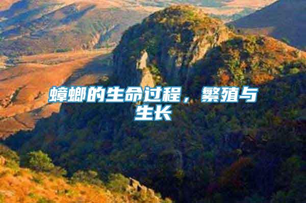 蟑螂的生命過程，繁殖與生長