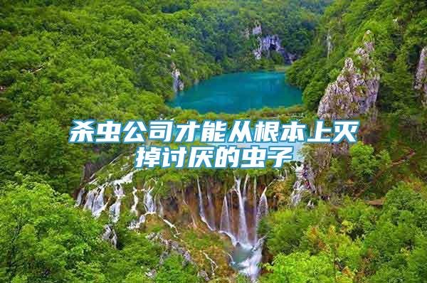 殺蟲公司才能從根本上滅掉討厭的蟲子