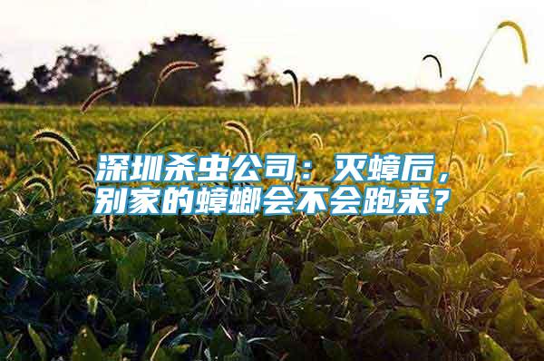 深圳殺蟲公司：滅蟑后，別家的蟑螂會不會跑來？