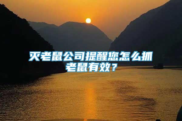 滅老鼠公司提醒您怎么抓老鼠有效？