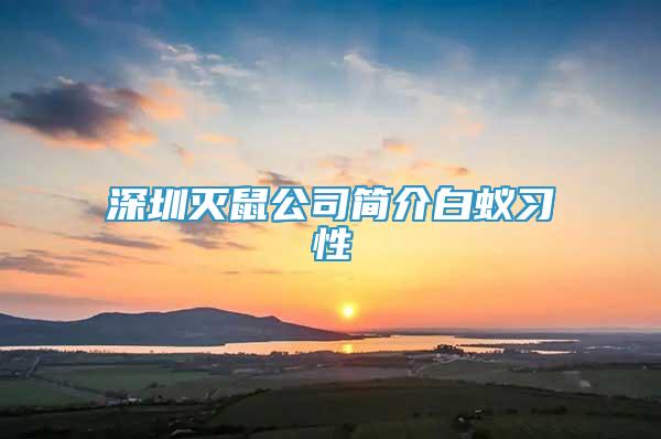 深圳滅鼠公司簡(jiǎn)介白蟻習(xí)性
