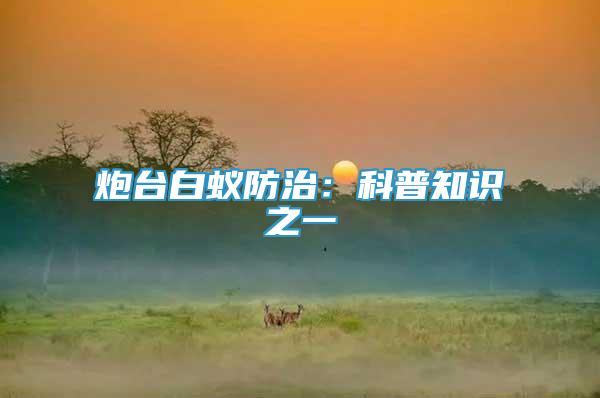 炮臺白蟻防治：科普知識之一
