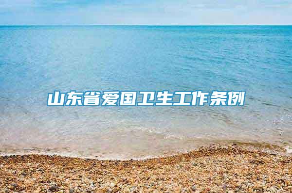 山東省愛國(guó)衛(wèi)生工作條例