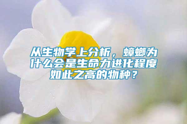 從生物學(xué)上分析，蟑螂為什么會是生命力進化程度如此之高的物種？