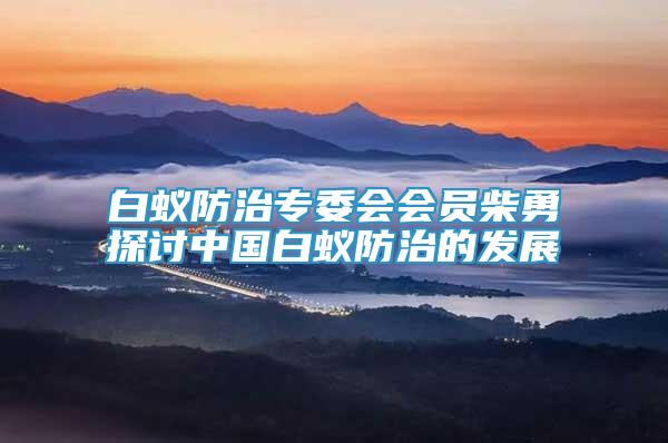 白蟻防治專委會會員柴勇探討中國白蟻防治的發(fā)展