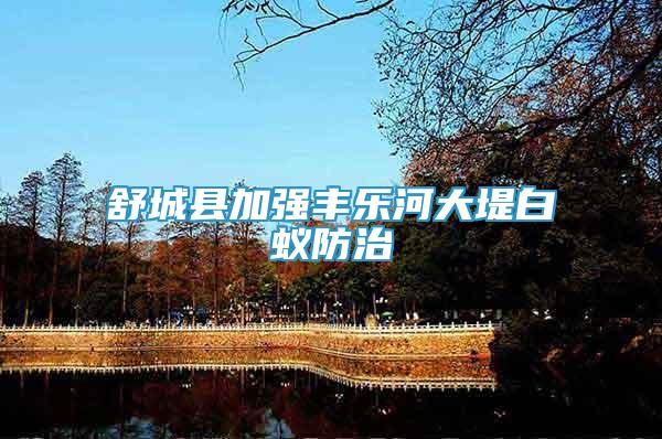 舒城縣加強豐樂河大堤白蟻防治
