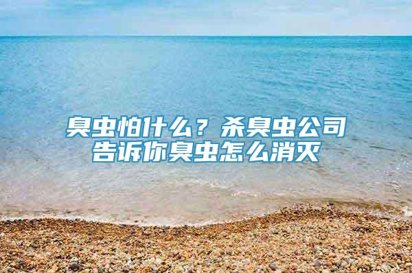 臭蟲怕什么？殺臭蟲公司告訴你臭蟲怎么消滅