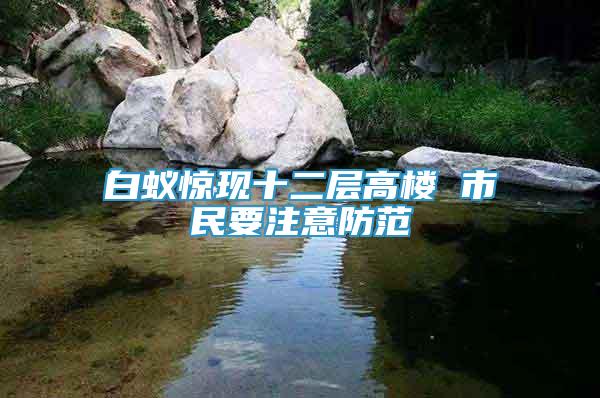 白蟻驚現(xiàn)十二層高樓 市民要注意防范