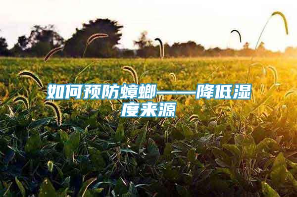 如何預(yù)防蟑螂——降低濕度來源