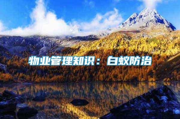 物業(yè)管理知識(shí)：白蟻防治