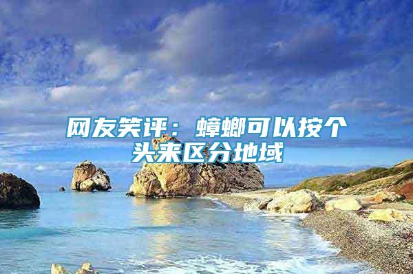 網(wǎng)友笑評(píng)：蟑螂可以按個(gè)頭來區(qū)分地域