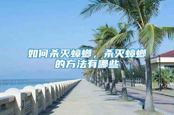 如何殺滅蟑螂，殺滅蟑螂的方法有哪些