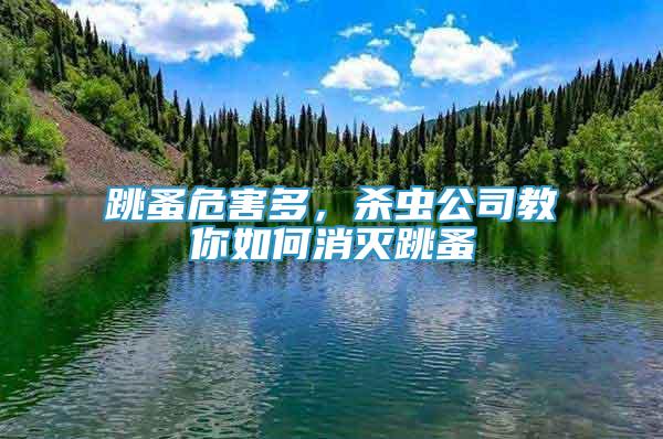 跳蚤危害多，殺蟲(chóng)公司教你如何消滅跳蚤