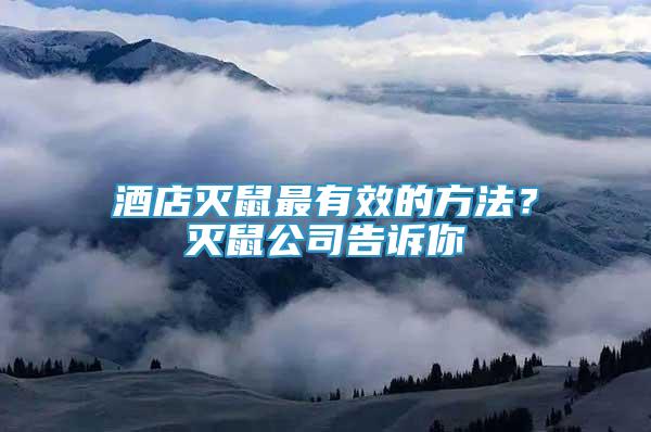 酒店滅鼠最有效的方法？滅鼠公司告訴你