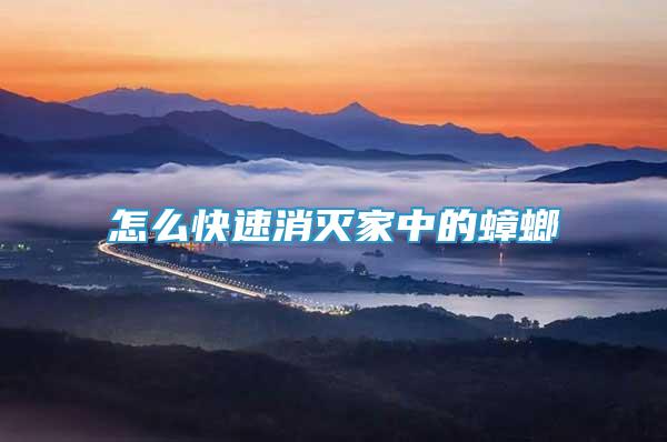 怎么快速消滅家中的蟑螂