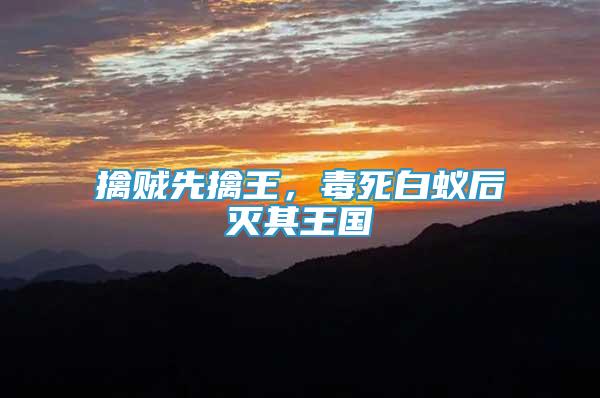 擒賊先擒王，毒死白蟻后滅其王國(guó)