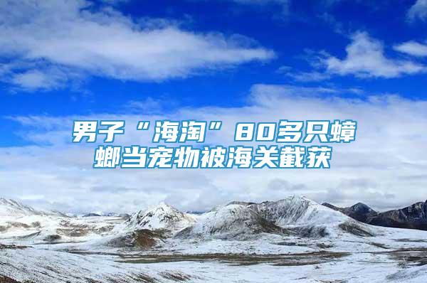 男子“海淘”80多只蟑螂當寵物被海關(guān)截獲