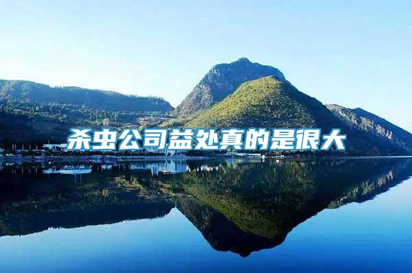 殺蟲公司益處真的是很大