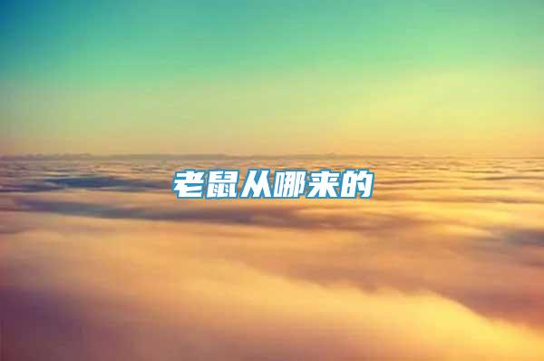 老鼠從哪來的