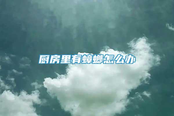 廚房里有蟑螂怎么辦