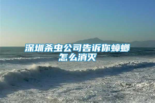 深圳殺蟲公司告訴你蟑螂怎么消滅