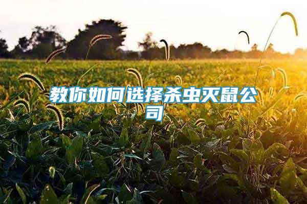 教你如何選擇殺蟲(chóng)滅鼠公司