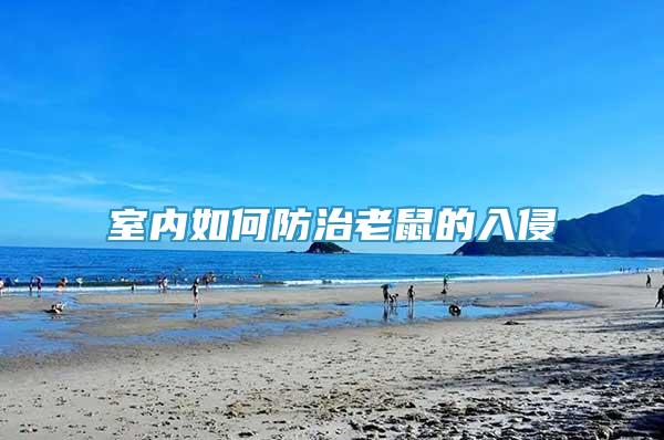 室內(nèi)如何防治老鼠的入侵