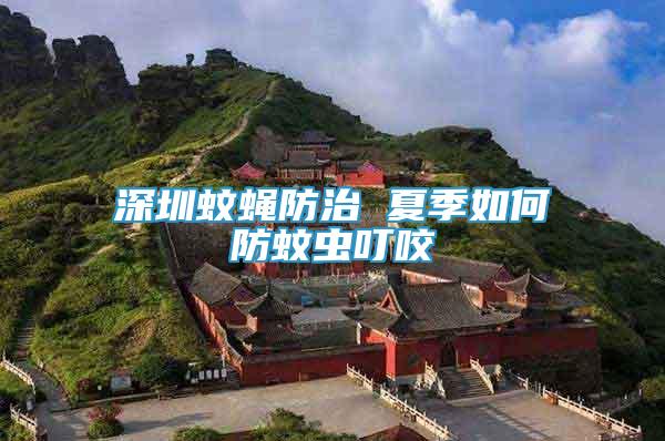 深圳蚊蠅防治 夏季如何防蚊蟲叮咬