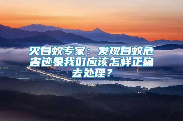 滅白蟻專家：發(fā)現(xiàn)白蟻危害跡象我們應(yīng)該怎樣正確去處理？