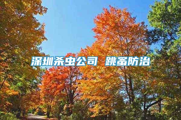 深圳殺蟲公司 跳蚤防治