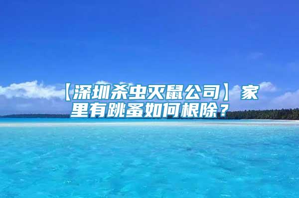 【深圳殺蟲滅鼠公司】家里有跳蚤如何根除？