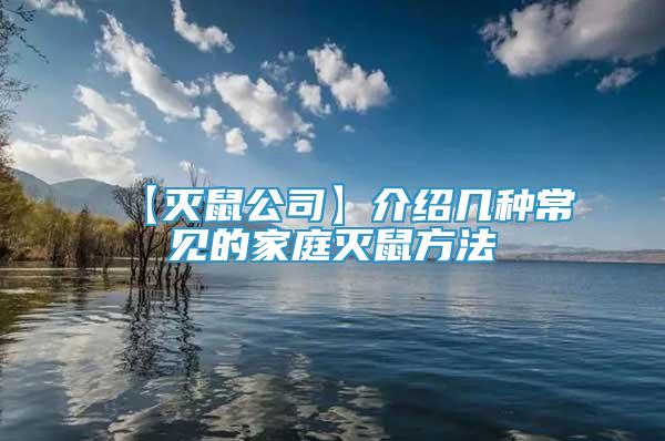 【滅鼠公司】介紹幾種常見的家庭滅鼠方法