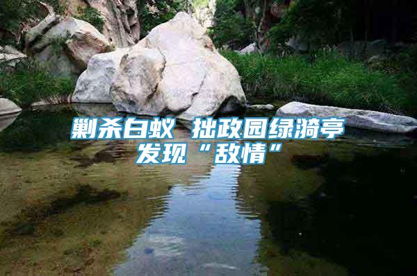 剿殺白蟻 拙政園綠漪亭發(fā)現(xiàn)“敵情”