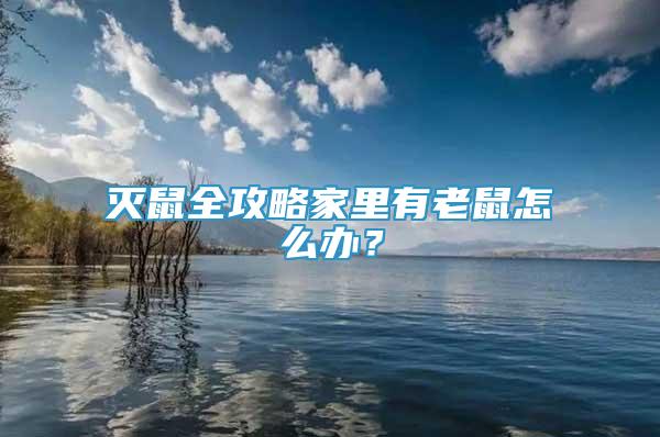 滅鼠全攻略家里有老鼠怎么辦？