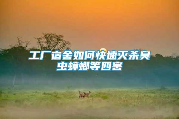 工廠宿舍如何快速滅殺臭蟲蟑螂等四害