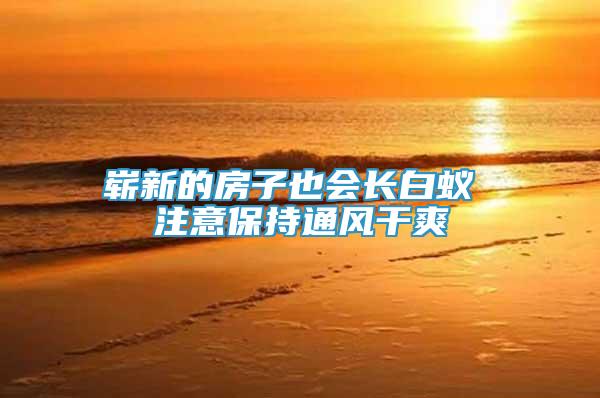 嶄新的房子也會長白蟻 注意保持通風干爽